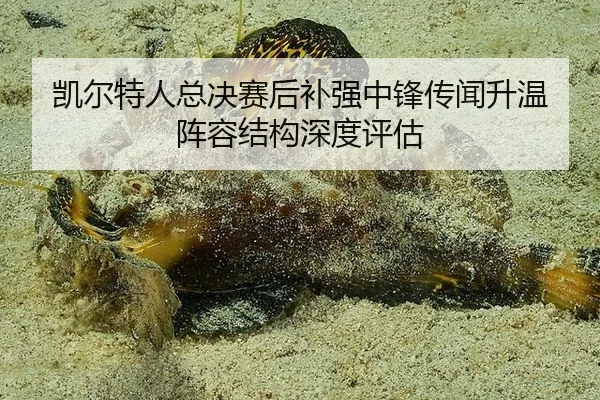 凯尔特人总决赛后补强中锋传闻升温 阵容结构深度评估